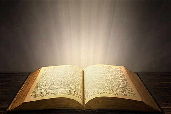 /Bachelor's%20Program